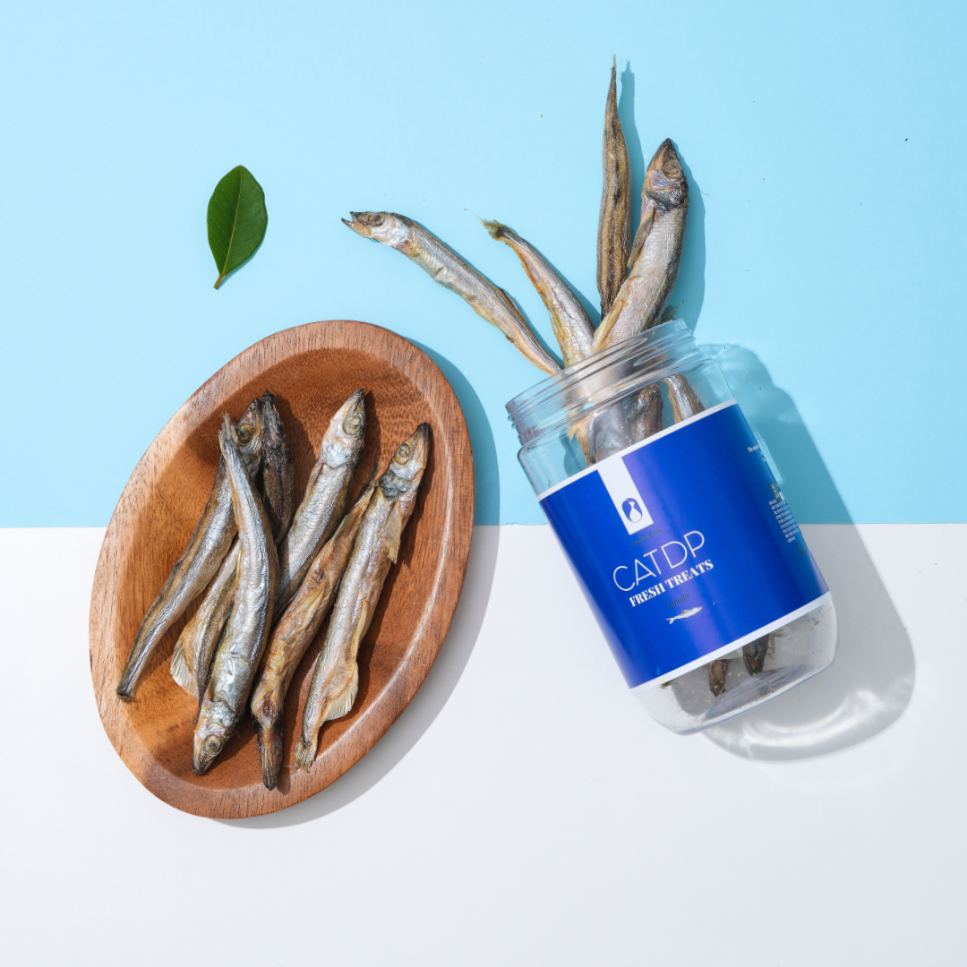 캣디피 프레시트릿 CATDP 저염트릿 아기고양이 간식 동결건조 열빙어트릿 50G 제품 이미지