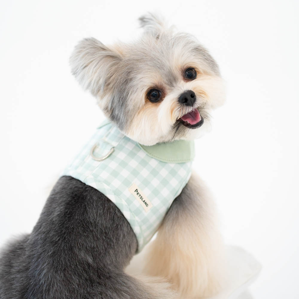 강아지 하네스 옷 소형견 애견 세트 오데트카라