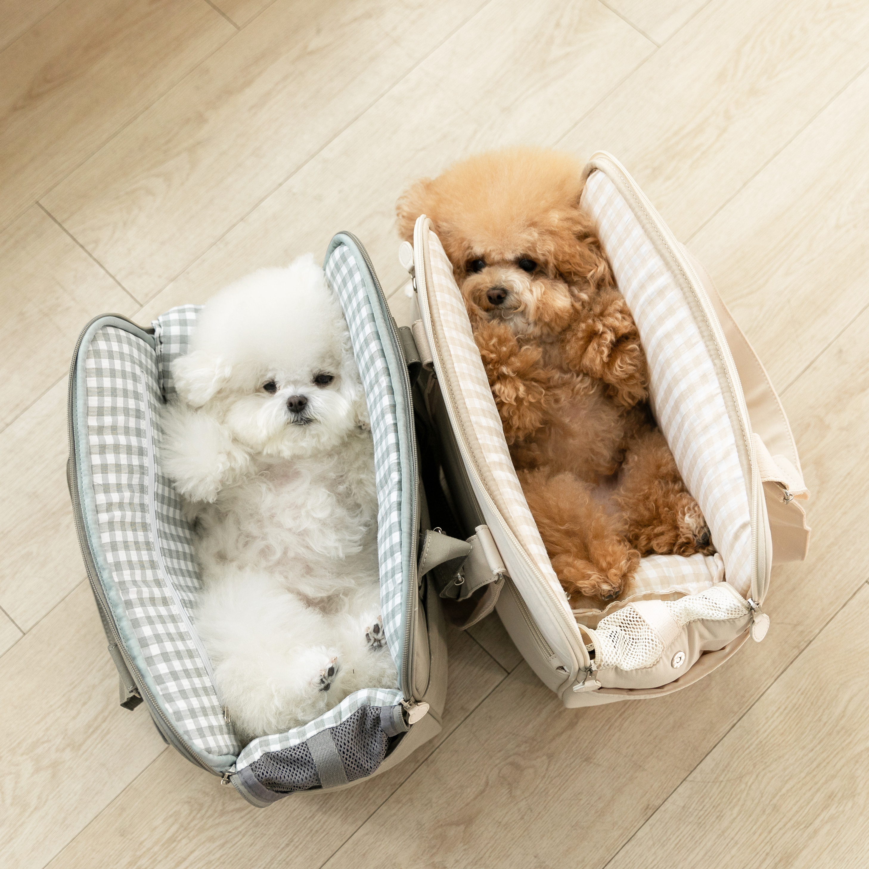 강아지 슬링백 이동 가방 애견 반려견 소형견 모먼트 단품L - 상세 이미지 5
