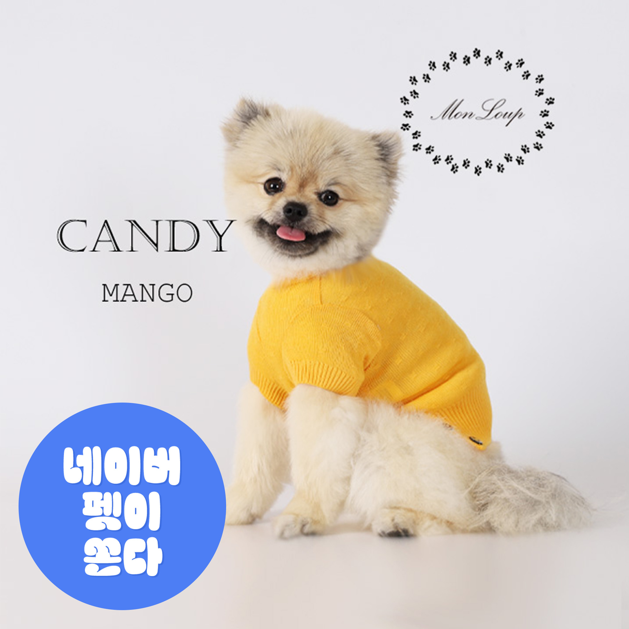 강아지니트 몽루 캔디 - 상품 이미지