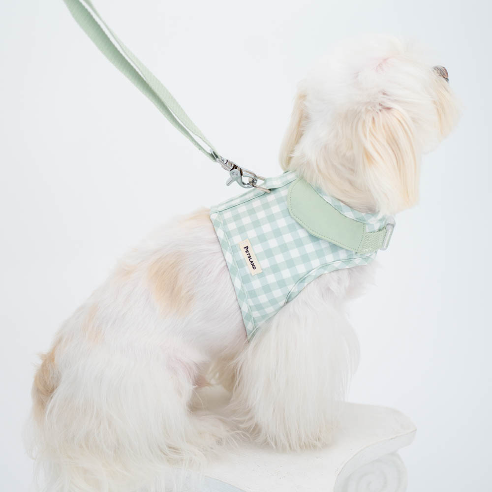 강아지 하네스 옷 소형견 애견 세트 오데트카라