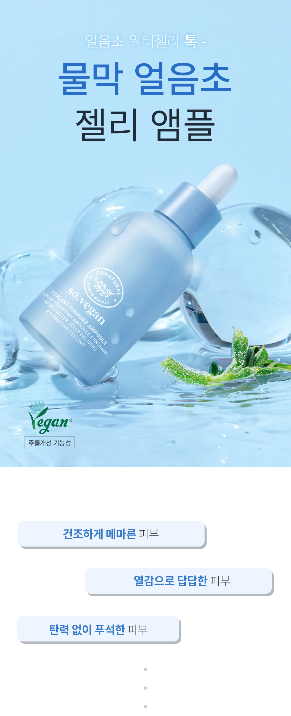 ampoule iceplant so natural k-beauty