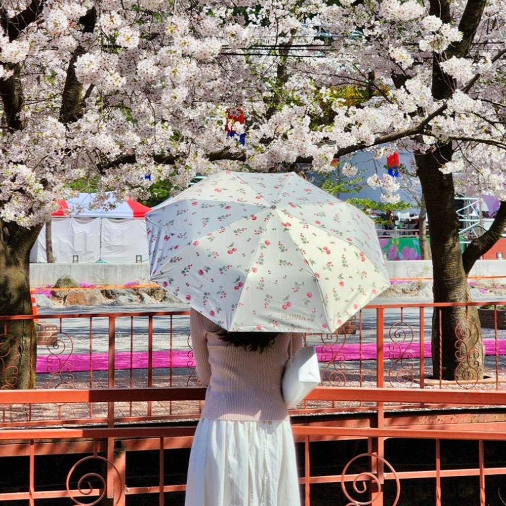 플루비아 양산 초경량 자외선차단 UV 암막 미니 우양산 2color
