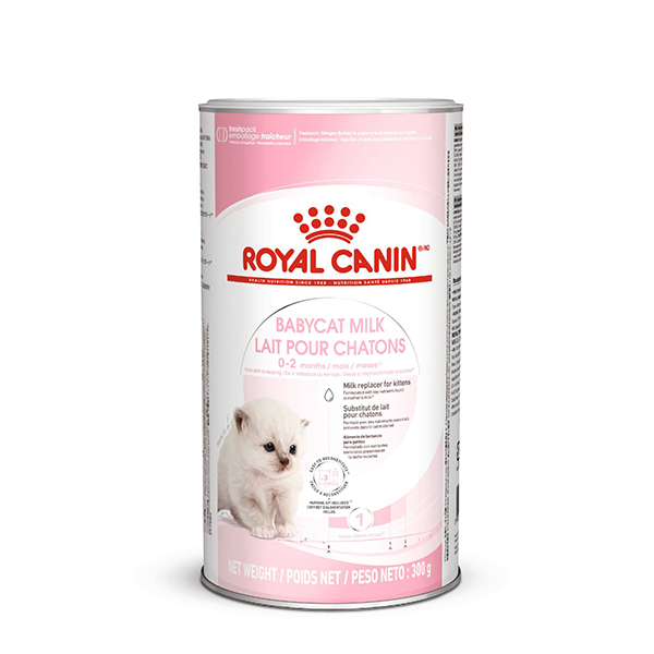 로얄캐닌 고양이 베이비캣 밀크 300g - 상품 이미지