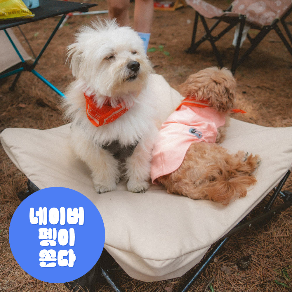 하웃 강아지 침대 방석 쿠션 해먹 캠핑 의자 애견 도그코트 M