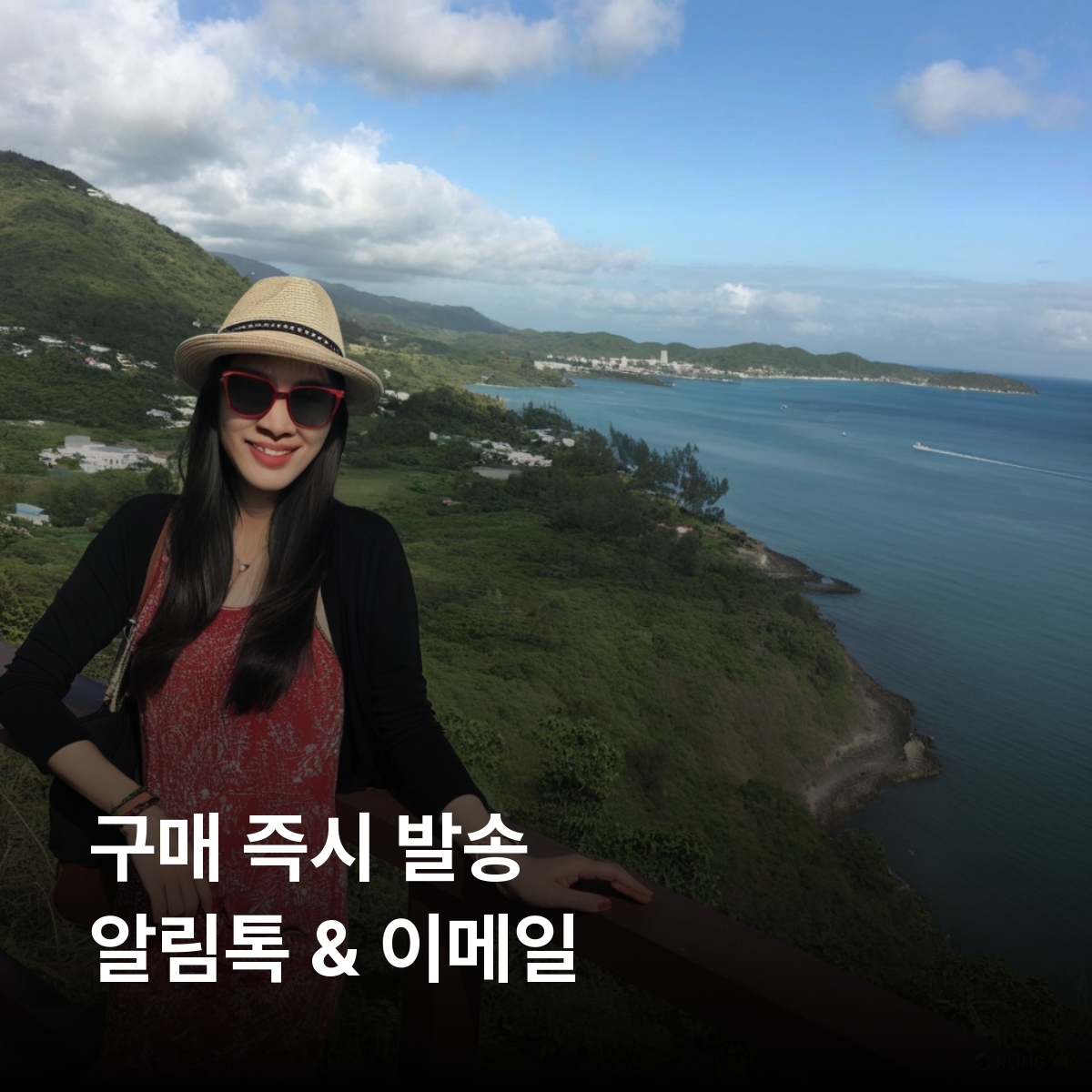 세인트루시아 로컬망 이심 eSIM Digicel 캐스트리스 수프리에르 로드니 베이 핏통 산 이심통 - 상세 이미지 3