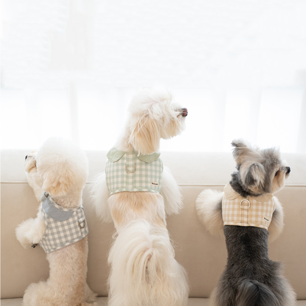 강아지 하네스 옷 소형견 애견 세트 오데트카라