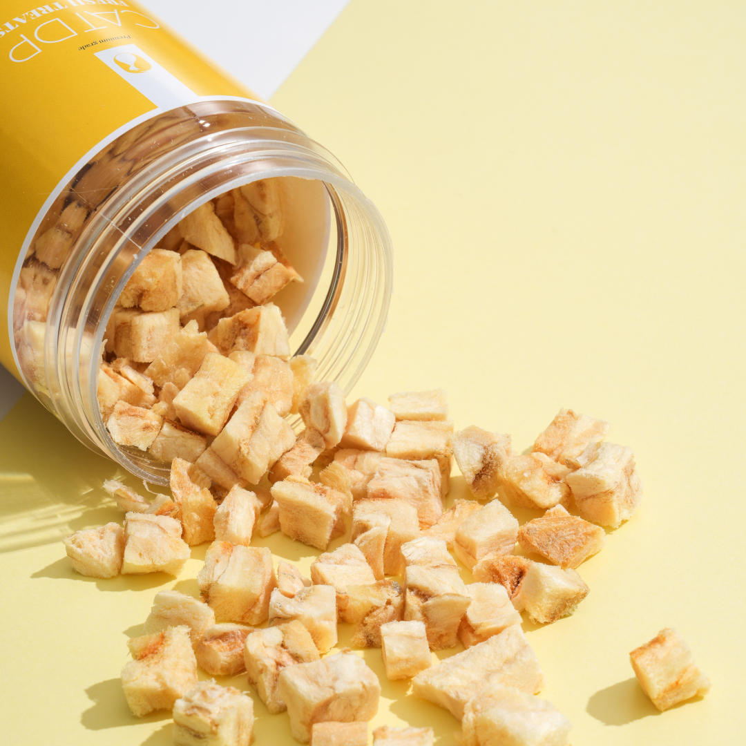 캣디피 프레시트릿 가자미 50g CATDP  저염트릿 저염 아기 고양이간식 동결건조 고양이가 좋아하는 음식 큐브 보양식 이미지 2