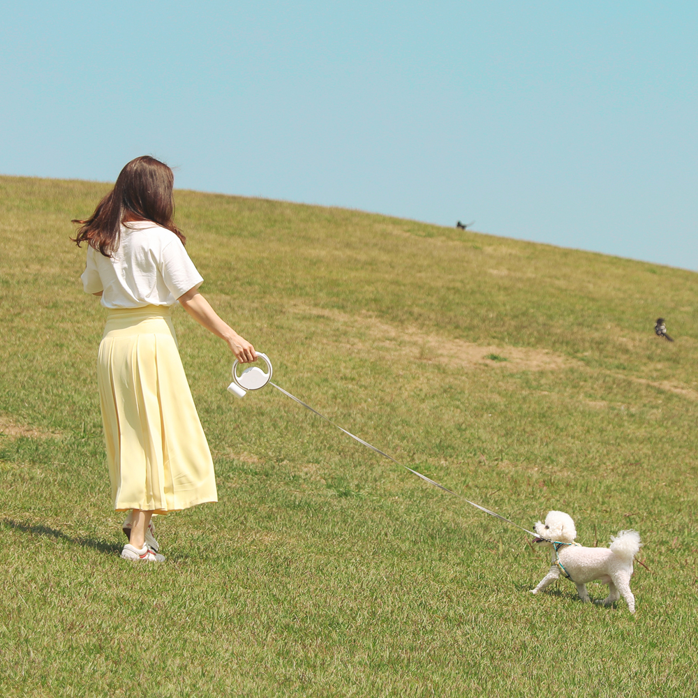아이리 반려견 LED 자동 리드줄 3m 강아지 애견 소형견 중형견 대형견 배변봉투함 이미지 4