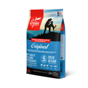 오리젠 오리지널 독 6kg 강아지사료 솔직 후기 | 실제 사용자 리뷰 총정리 - 상품 이미지 1