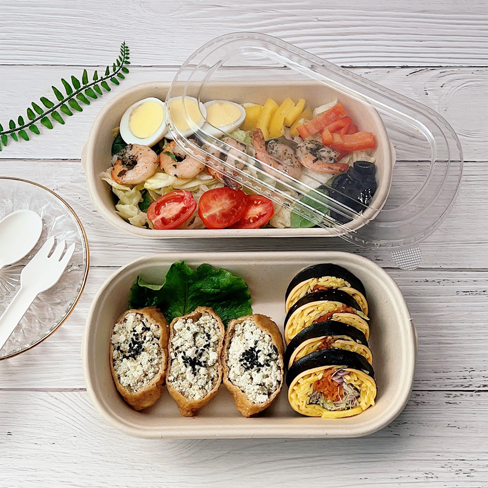 일회용 펄프 포장 용기 도시락 샌드위치 케이스 김밥 샐러드용기 50세트 - 상세 이미지 3