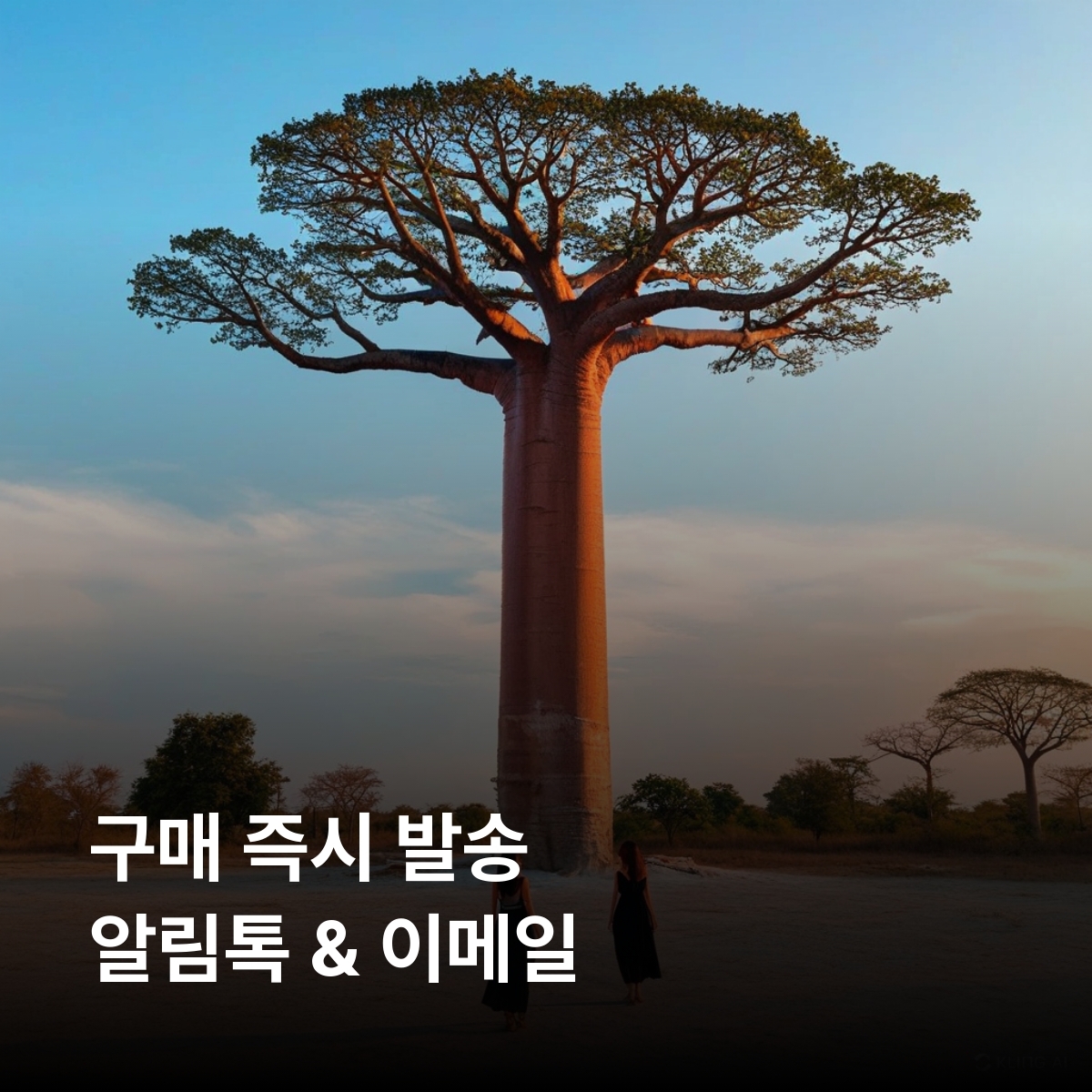 마다가스카르 로컬망 이심 eSIM Orange LTE 안타나나리보 누지베 투아마시나 바오밥 가로수길 안드라피아마나 국립공원 이사로 국립공원 이심통 - 상세 이미지 3