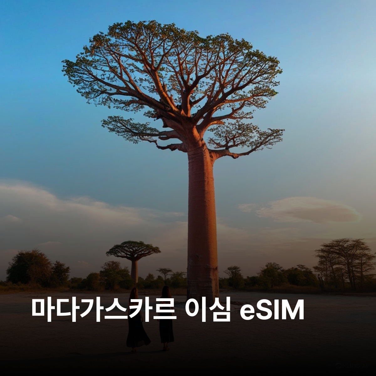 마다가스카르 로컬망 이심 eSIM Orange LTE 안타나나리보 누지베 투아마시나 바오밥 가로수길 안드라피아마나 국립공원 이사로 국립공원 이심통 - 상품 이미지