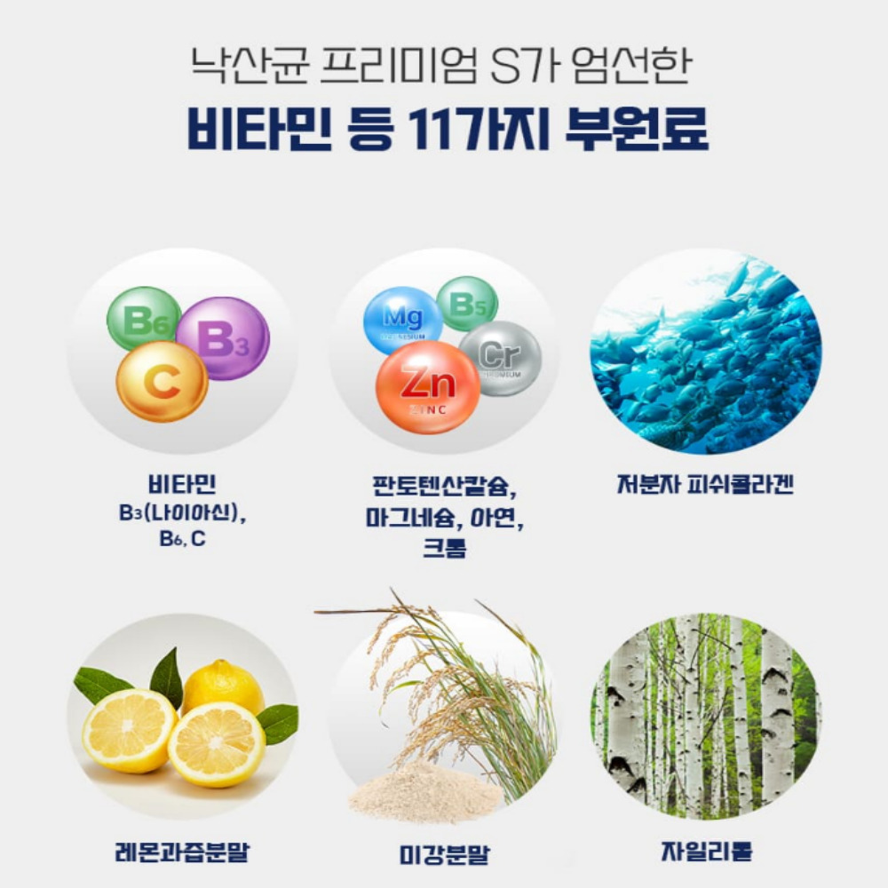 미야리산 낙산균 다니스코 람노서스 효능 30포 2박스 - 상세 이미지 3