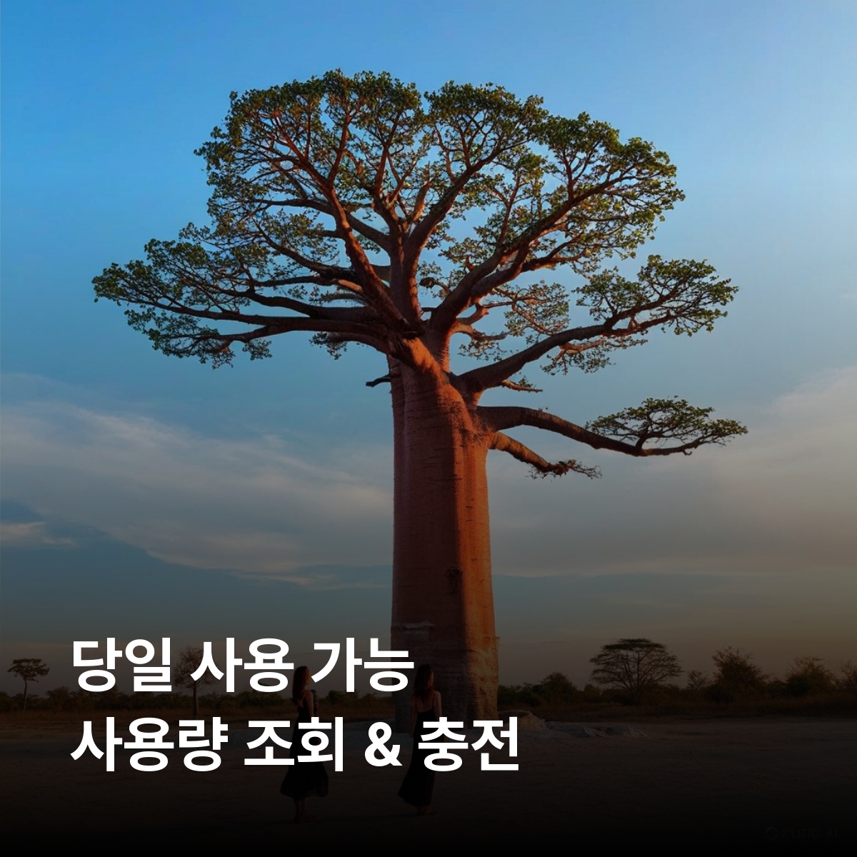 마다가스카르 로컬망 이심 eSIM Orange LTE 안타나나리보 누지베 투아마시나 바오밥 가로수길 안드라피아마나 국립공원 이사로 국립공원 이심통 - 상세 이미지 4
