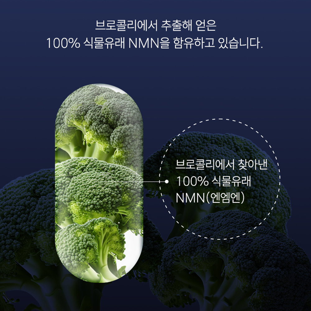 식물성 nmn 효능 엔앰엔 베타인 시르투인 브로콜리 니코틴아마이드 고함량 30정 - 상세 이미지 3
