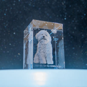 강아지 고양이 추모함 유골함 꾸미기 추모용품 메모리얼스톤 펫타스틱 하랑별... 솔직 후기 | 실제 사용자 리뷰 총정리 - 상품 이미지 1