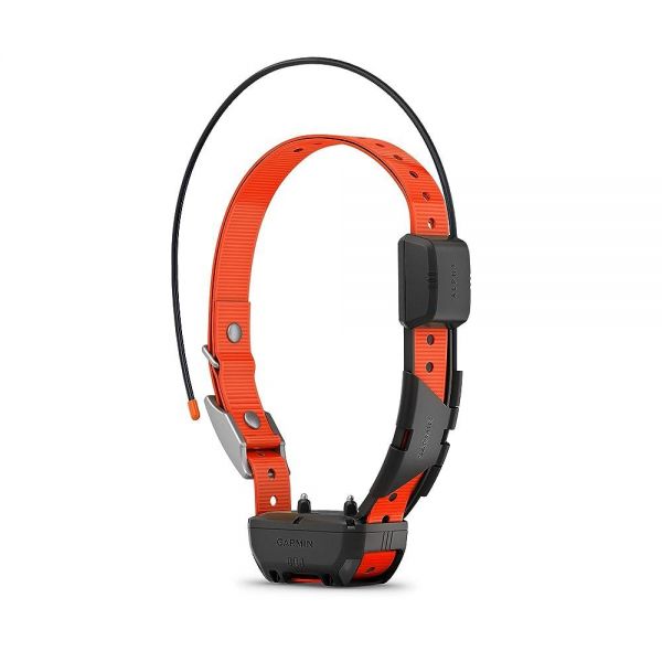 가민 Garmin Alpha TT 25 GPS 강아지 추적 및 훈련 목걸이 : 넥스유로1
