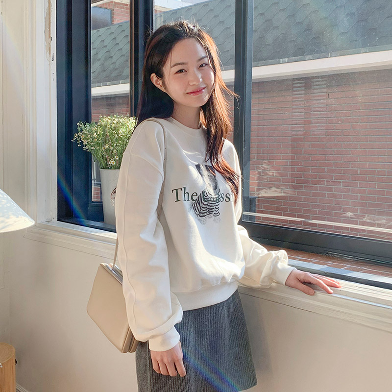 클래식 강아지 프린팅 루즈핏 맨투맨 ts4366 - 상세 이미지 2