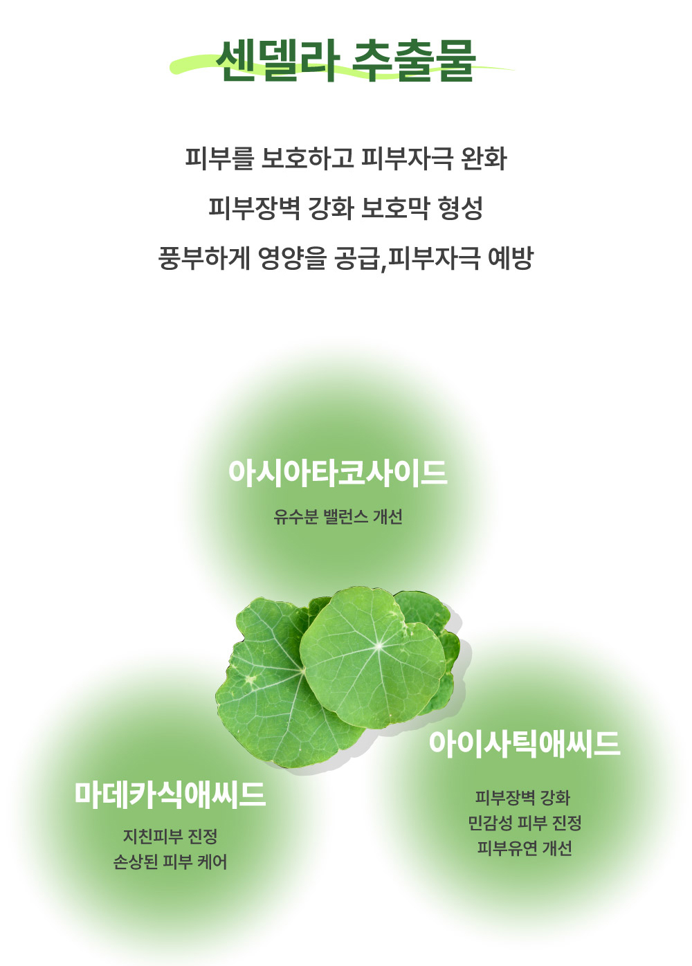 오즈케어 센델라 1000ppm 블랙헤드 코피지제거 모공 패치 5매 - 상세 이미지 5