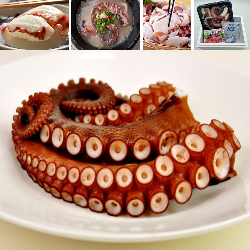 쫄깃한 참문어 통다리 맛있는 신선 담백 자숙 술안주 해산물