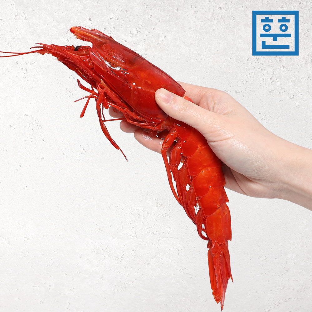 황제 새우 까라비네로 파인다이닝 새우회 이미지 7