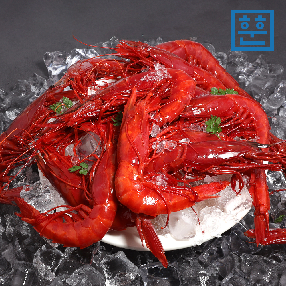 황제 새우 까라비네로 파인다이닝 새우회