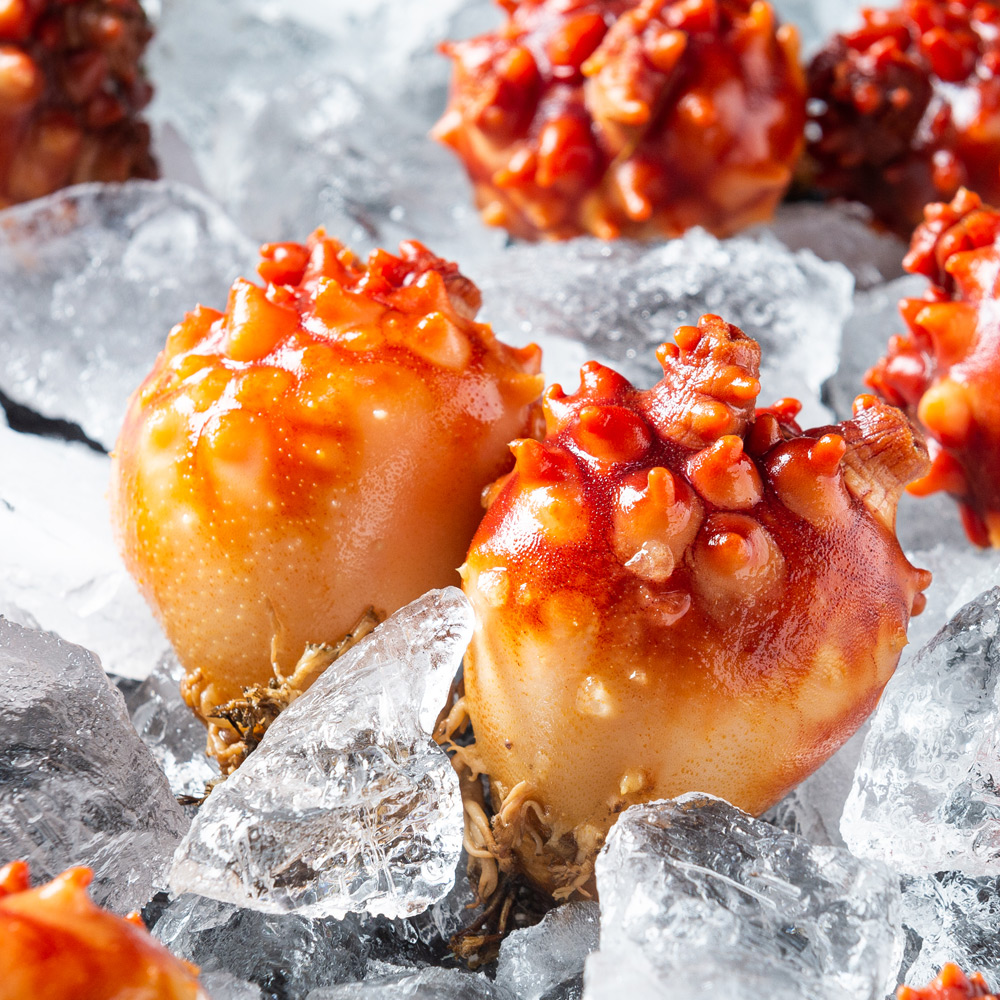 품질보증 국산 멍게 꽃멍게 깐멍게