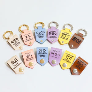 바유 강아지 인식표 고양이 이름표 똑딱형S 솔직 후기 | 실제 사용자 리뷰 총정리 - 상품 이미지 2