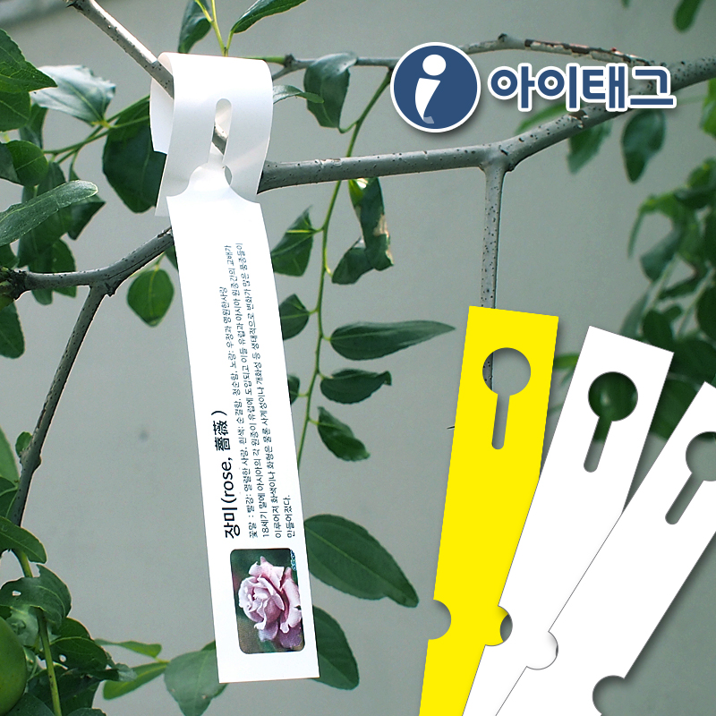 아이태그 흰색 방수 A4 식물이름표 화분이름표 수목명찰 수목표찰 나무이름표 비점착라벨 타이태그 / TLT0041WP / 50매 - 상품 이미지