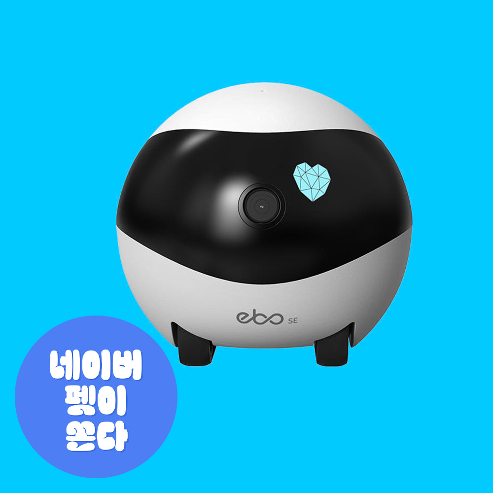 Ebo SE 사용 후기, 왓더펫 Ebo SE, 자동 충전 펫캠, 강아지 고양이 펫캠, 원격 조종 홈캠
