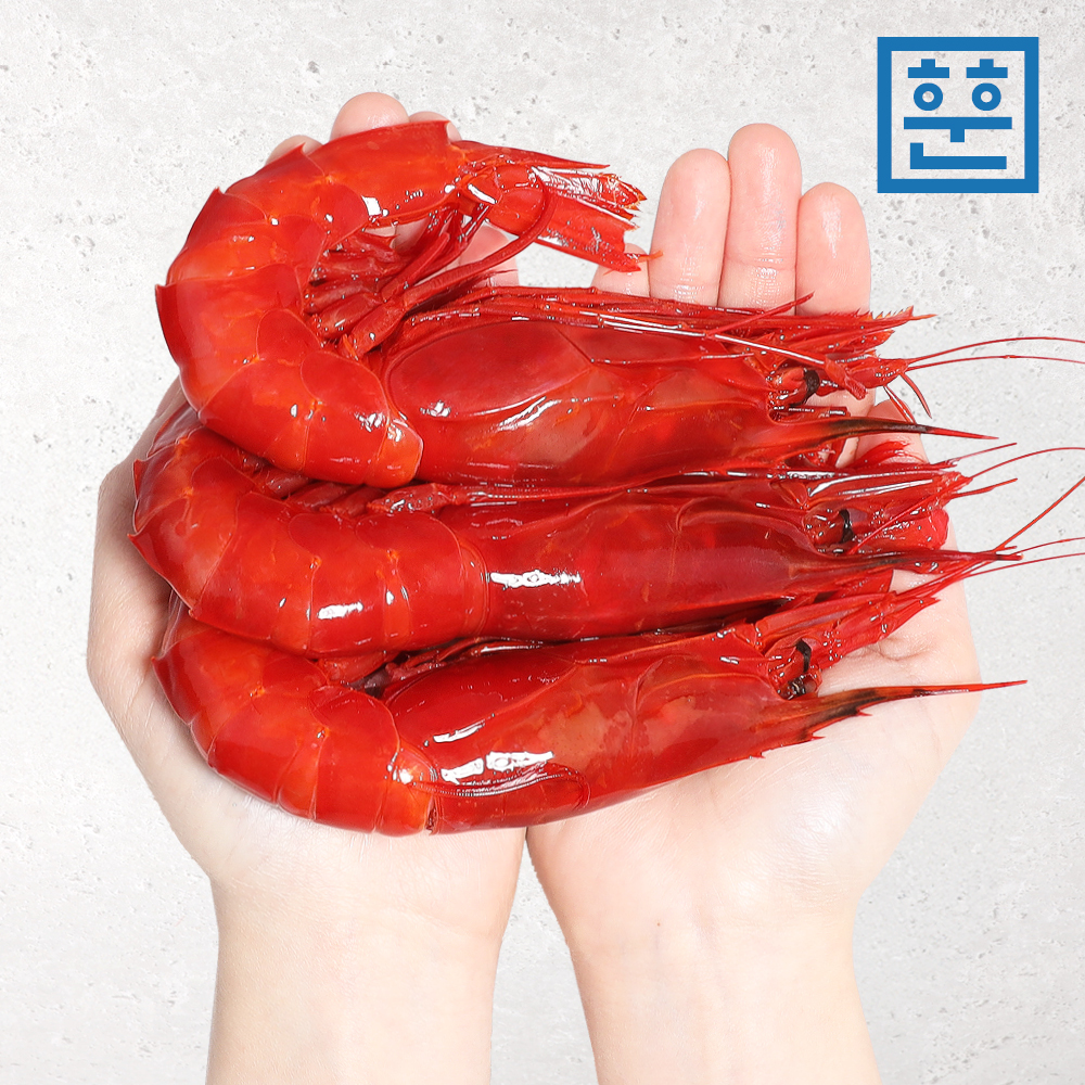 황제 새우 까라비네로 파인다이닝 새우회 - 상세 이미지 2