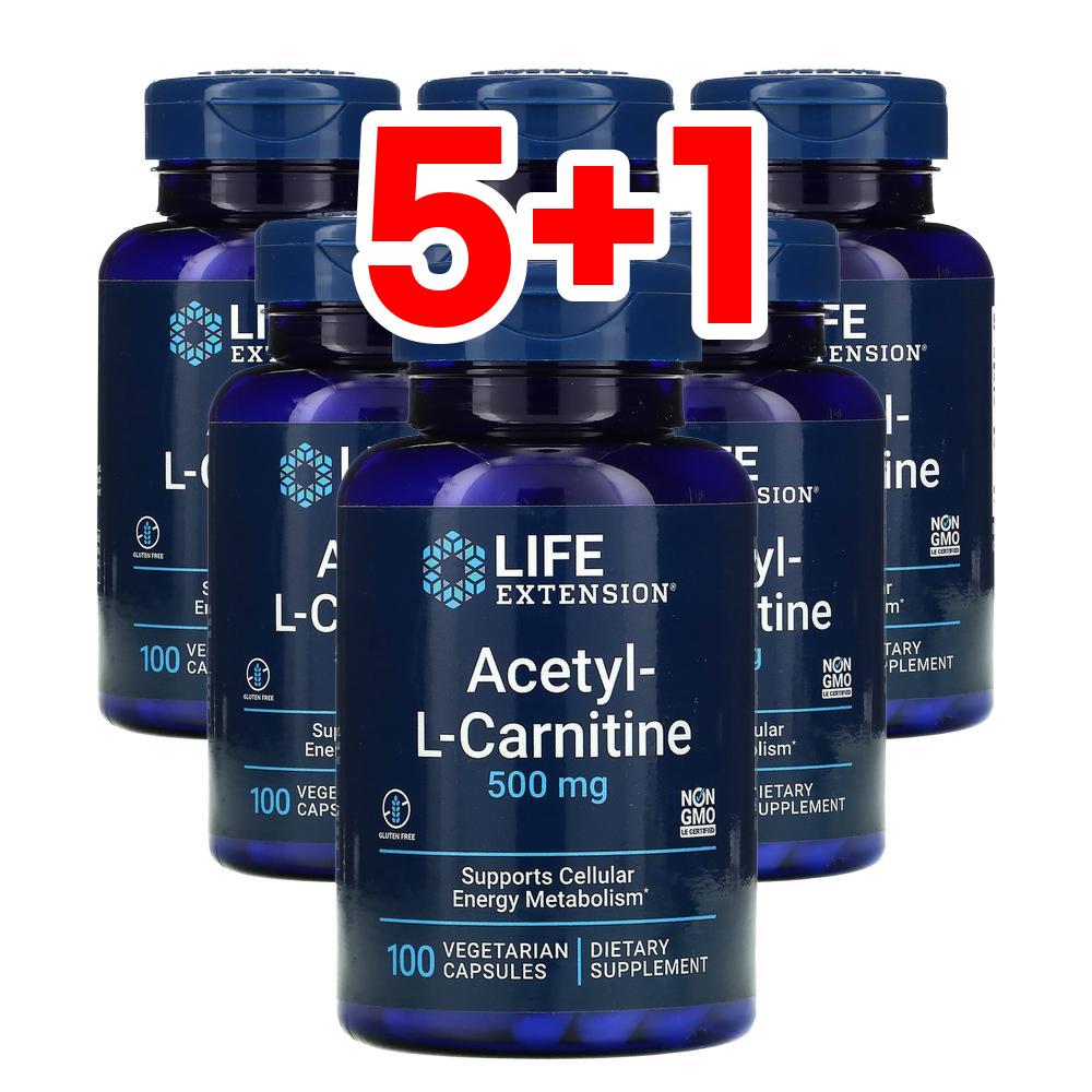 [5+1] 라이프익스텐션 아세틸엘카르니틴 500mg 100정 : 웰스히어로