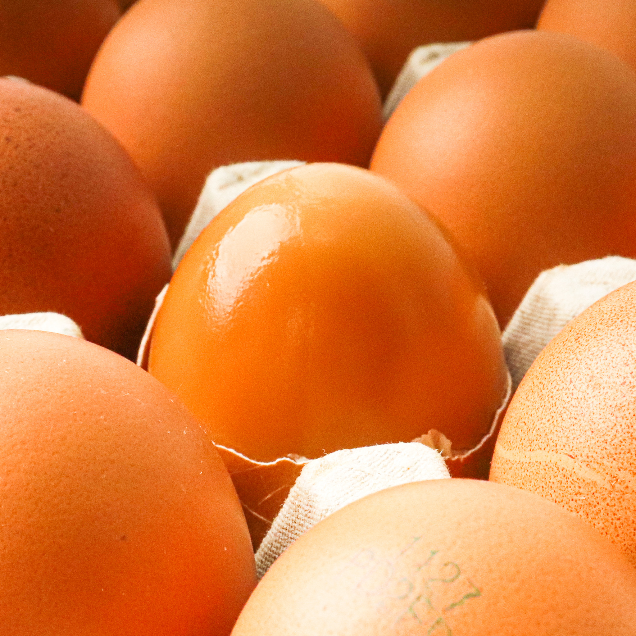 난각번호2번 동물복지 구운계란 구운란 대란 30구 맥반석 훈제 계란