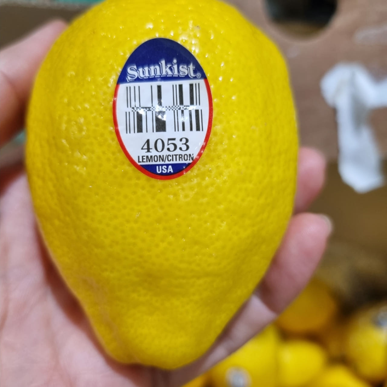 레몬 생레몬 2.4kg, 1개 - 상세 이미지 3