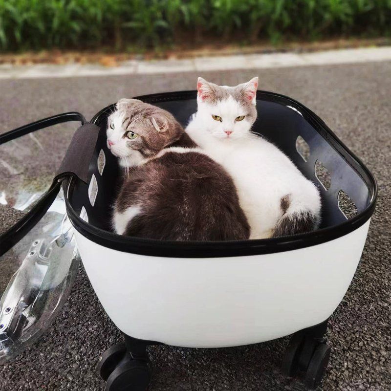 고양이 캐리어 바퀴 가방 반려견 반려묘 투명 클리어 캐리어 트롤리 케이스 여행용 산책용 - 상세 이미지 3
