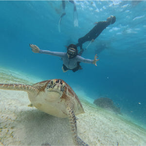 보홀 호핑투어 프라이빗 단독행사 발리카삭 거북이 버진아일랜드 돌고래 스노... 솔직 후기 | 실사용자 리뷰 분석 - 상품 이미지 3