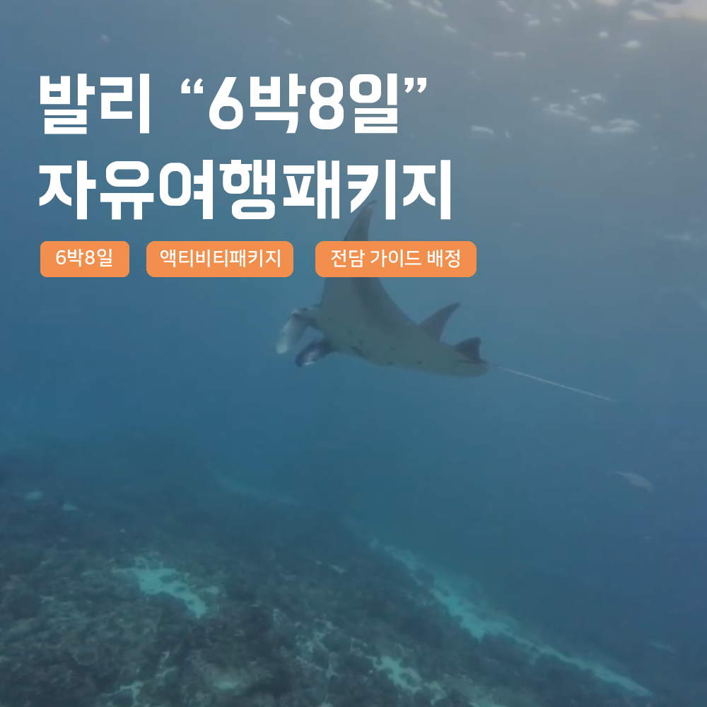 [발리] 발리 6박8일 자유여행 패키지 지프투어 남부 우붓 선라이즈 누사페니다 한국어가이드