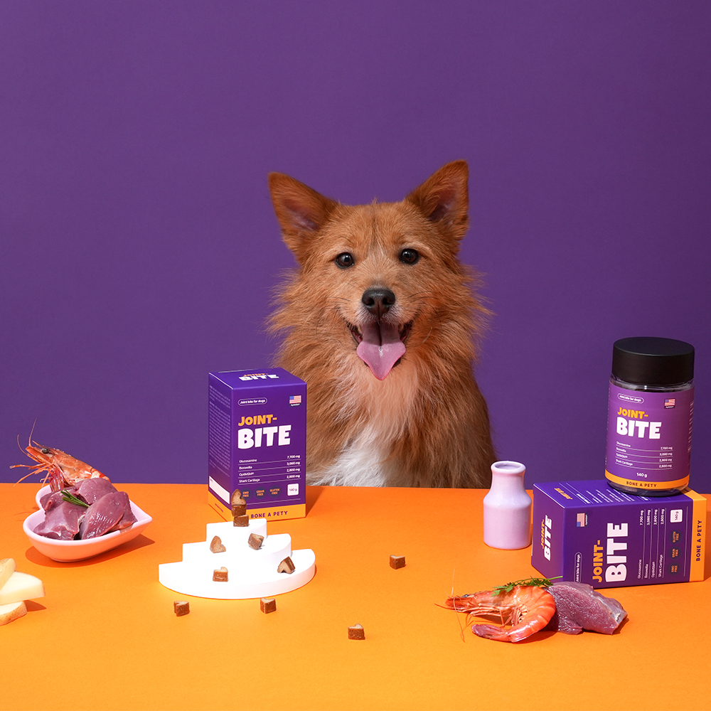 본아페티 초고함량 강아지 관절 영양제 슬개골 근육 관리용 조인트바이트 140g, 1개