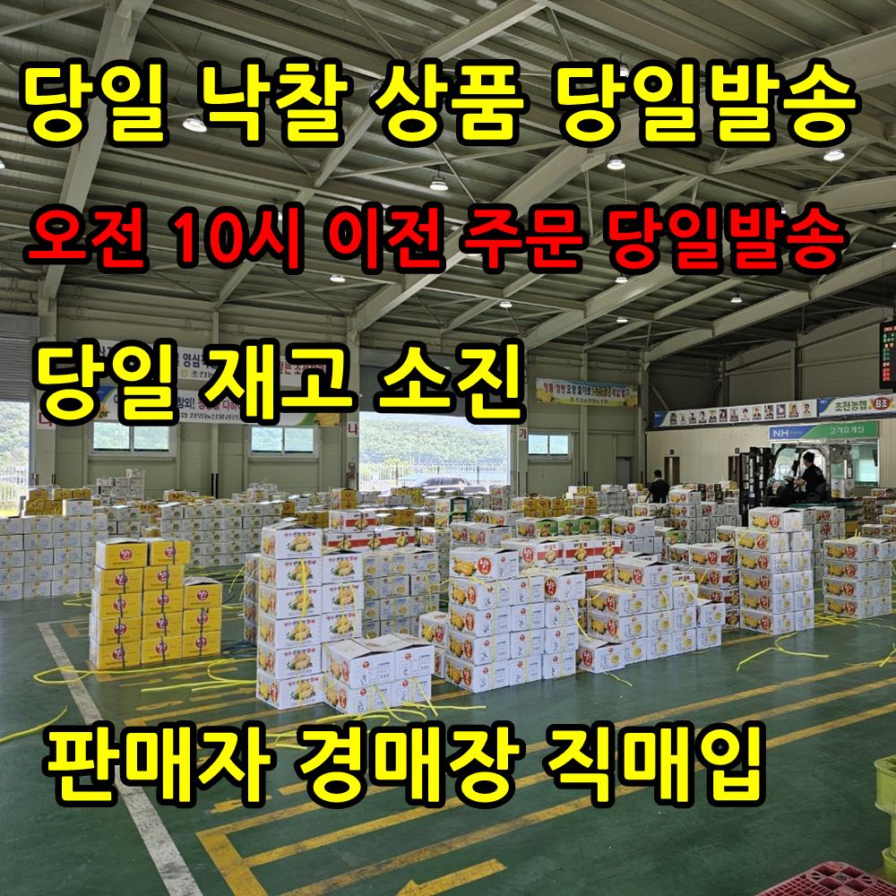 참외 성주 가정용 못난이 5kg, 1개 - 상세 이미지 2
