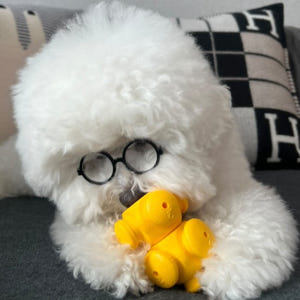 [옙퍼피] 강아지노즈워크 퍼즐 바이트볼 반려견 장난감 어려운 오래노는 솔직 후기 | 실제 사용자 리뷰 총정리 - 상품 이미지 1