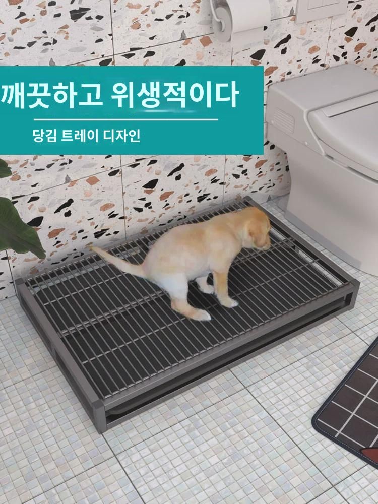 대변 서랍형 휴대용 훈련 대형견 용품 연습 변기 배변 소변 강아지 배변판 : 카산드라