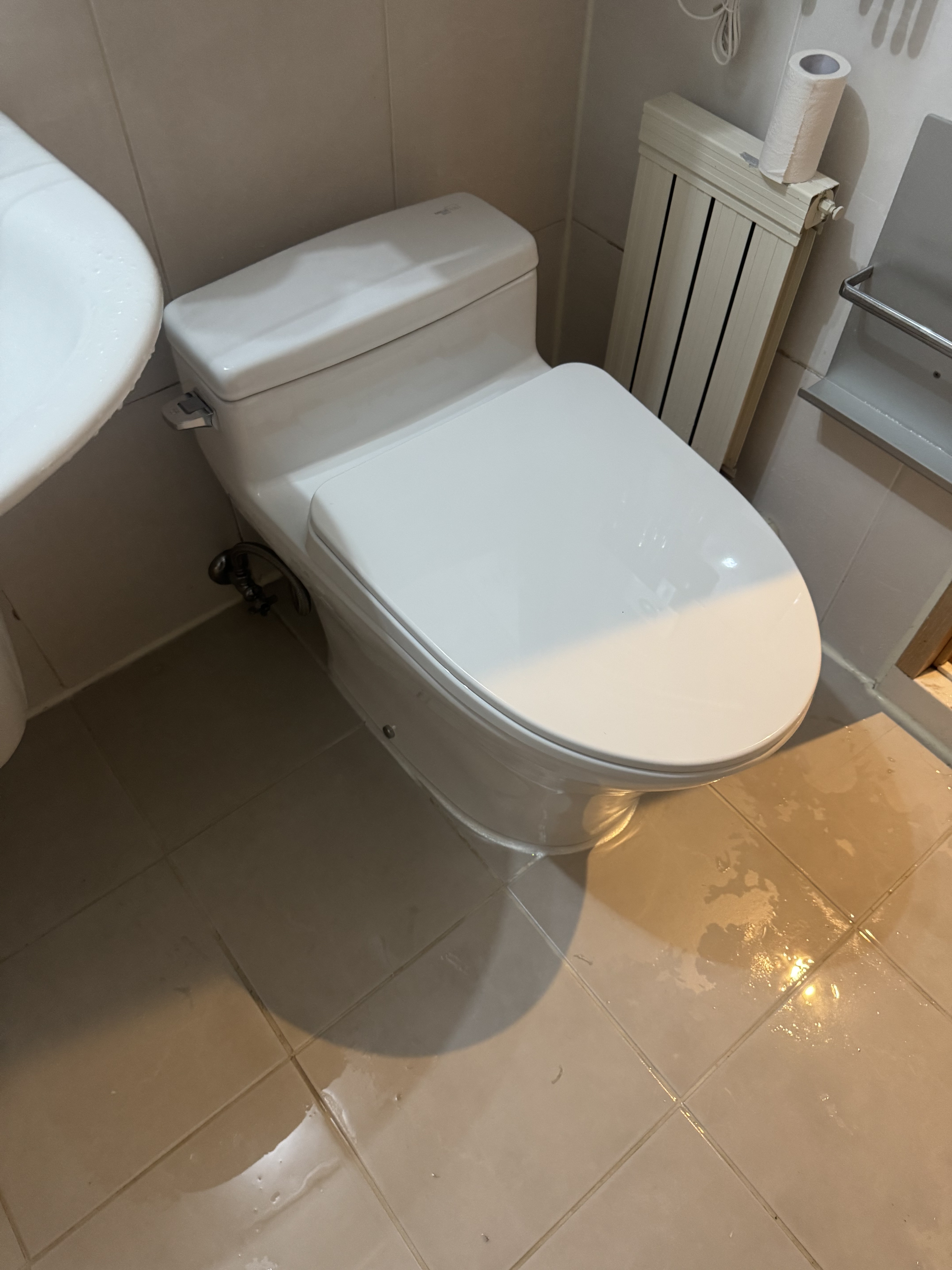 (부산 양산 울산 창원 마산 진해 장유 김해) 대림바스 원피스 양변기교체 CC-214 CC214 아덱스실리콘 마감 - 상세 이미지 5