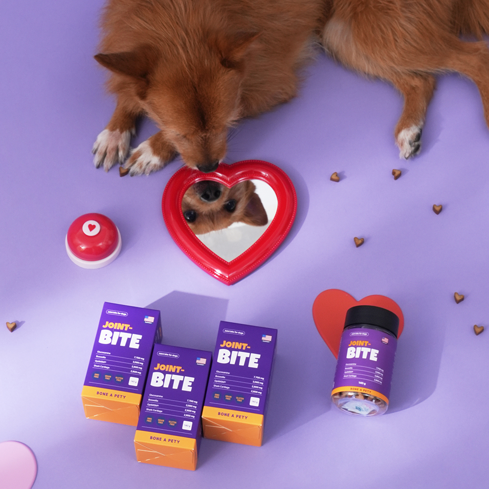 본아페티 초고함량 강아지 관절 영양제 슬개골 근육 관리용 조인트바이트 140g, 1개