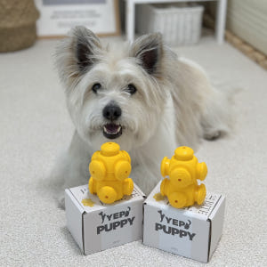 [옙퍼피] 강아지노즈워크 퍼즐 바이트볼 반려견 장난감 어려운 오래노는 솔직 후기 | 실제 사용자 리뷰 총정리 - 상품 이미지 2