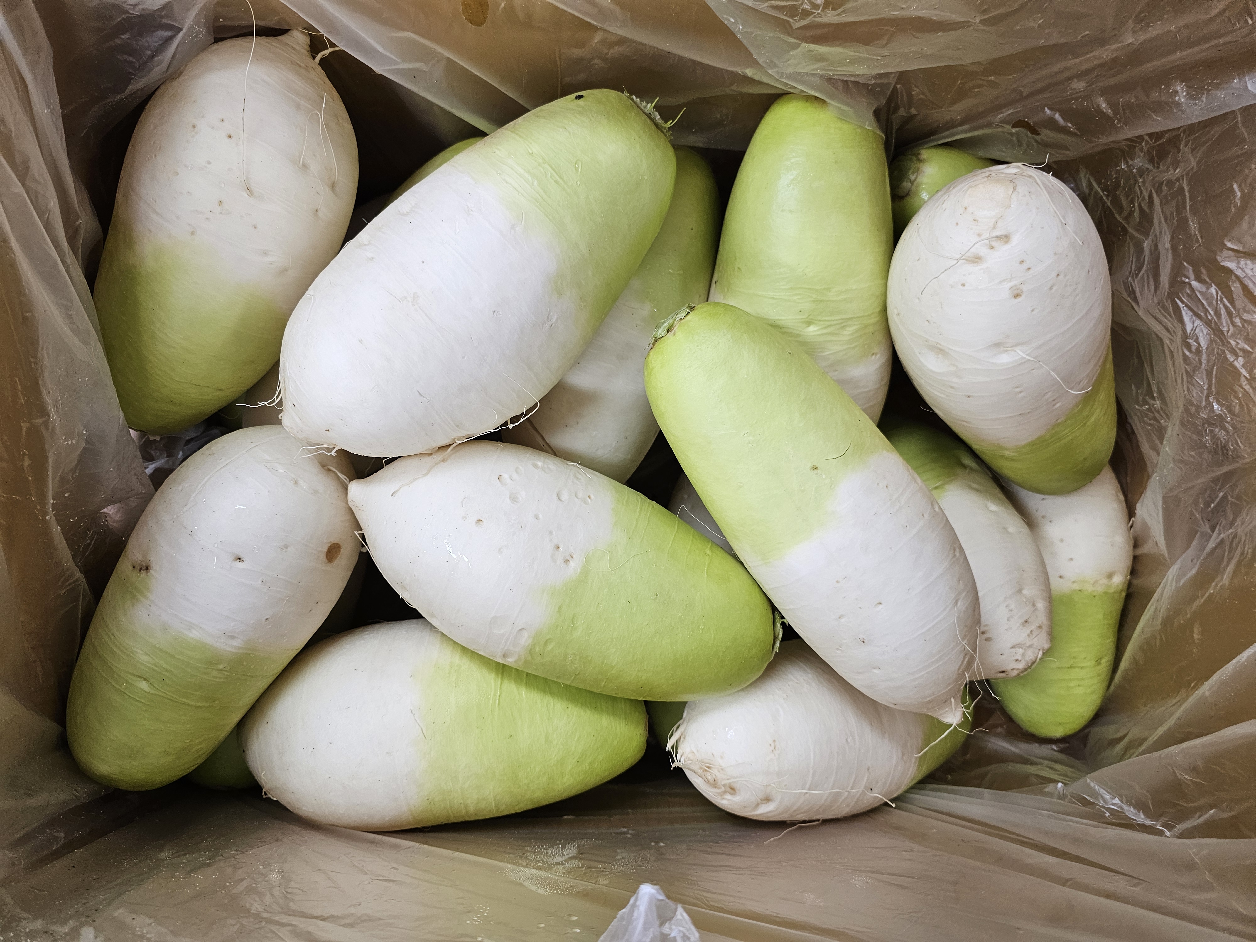 햇무 국산 10KG 5KG 3KG 월동무 제주 무우 세척무 - 상품 이미지