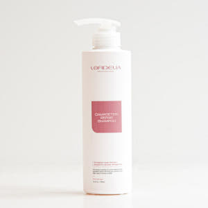 로델리아 데미지테인 약산성 손상모 리페어 샴푸 500ml 솔직 후기 | 피부 타입별 분석 - 상품 이미지 2