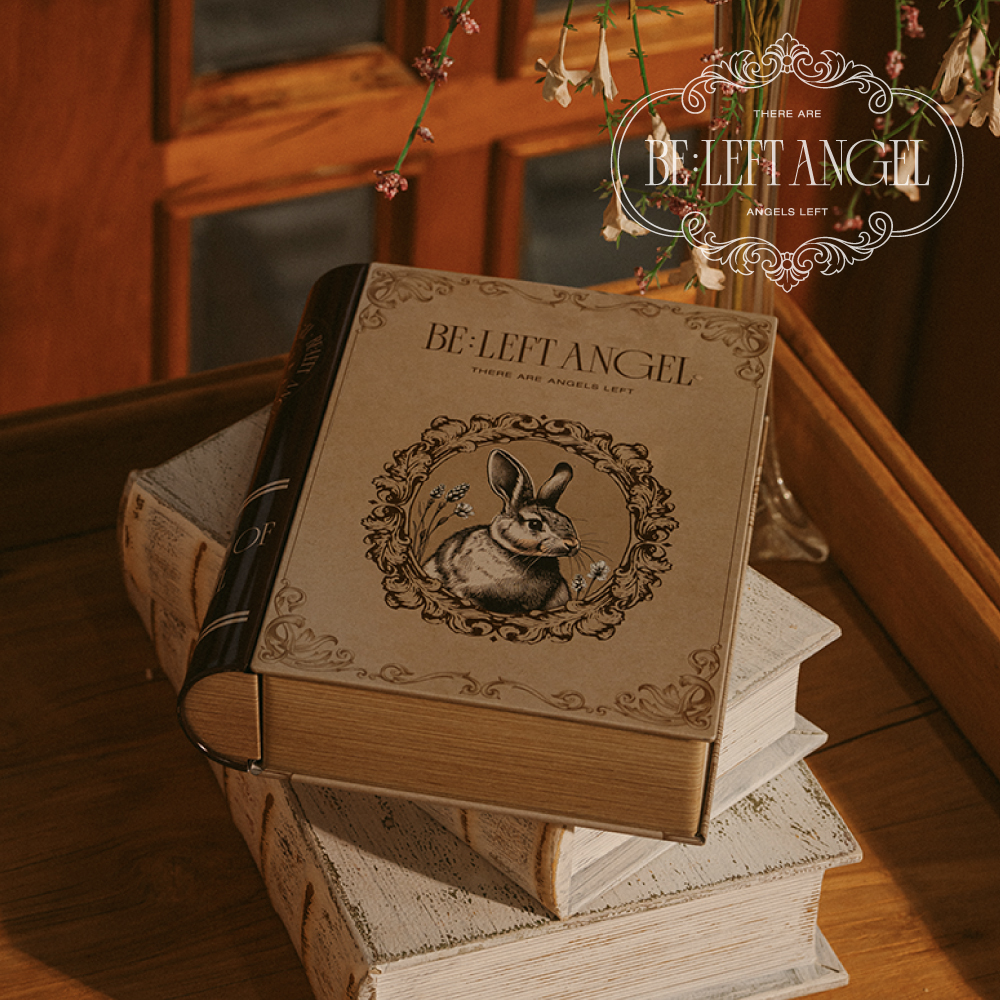 탯줄보관함 배냇함 배냇저고리함 출산선물 신생아 아기 배꼽 배냇머리 보관함