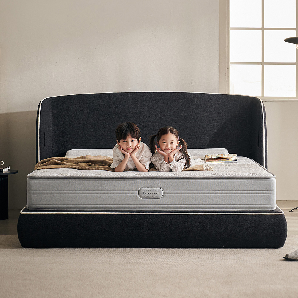 슬립퍼 밸런스드 단단한 하드 스프링 침대 매트리스 SS