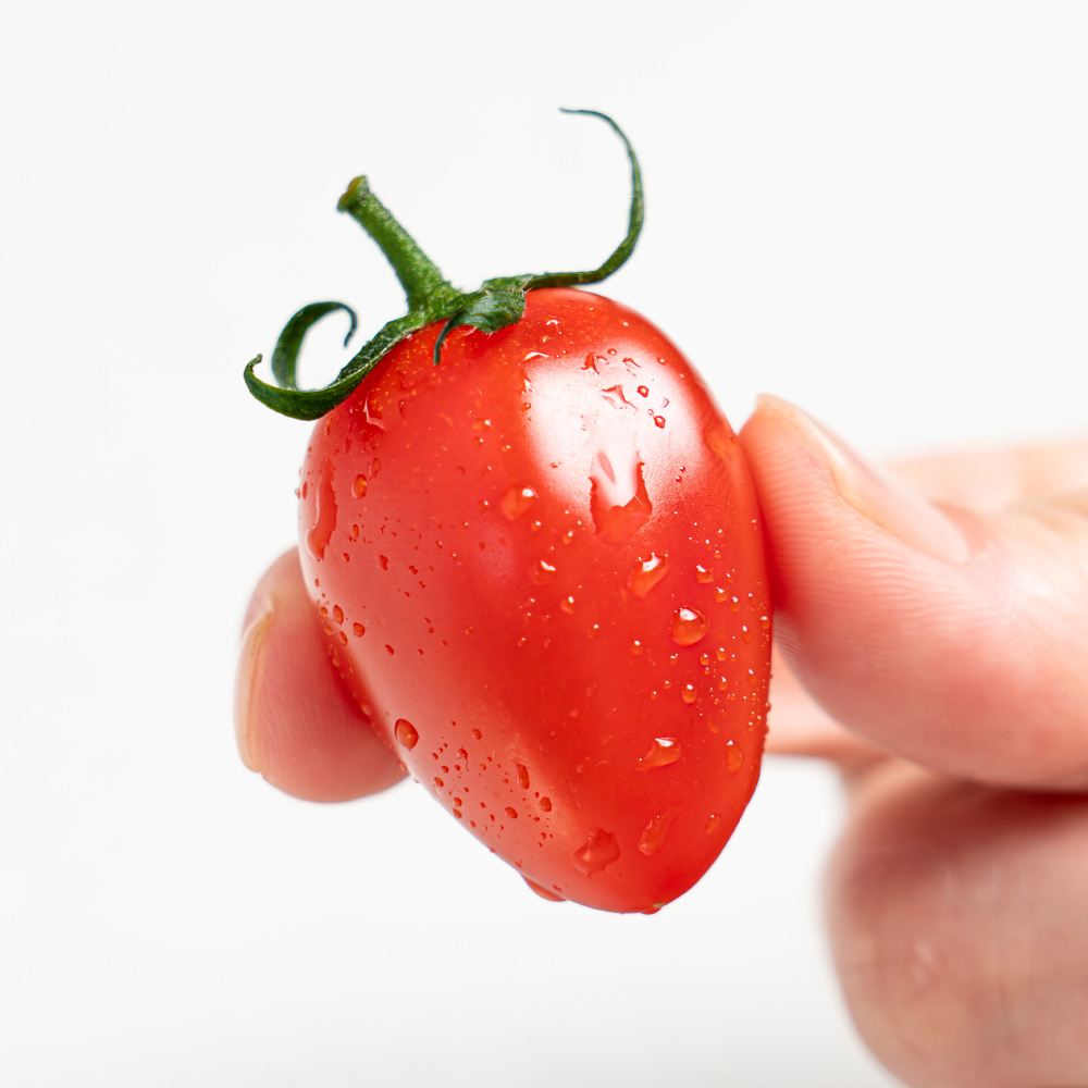 당일수확 스테비아 토마토 방울토마토 1kg , 2kg 외 산지직송 토망고